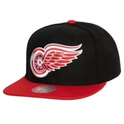 Mitchell & Ness Snapback-Team 2 Tone 2.0 Snapback Detroit Red Wings