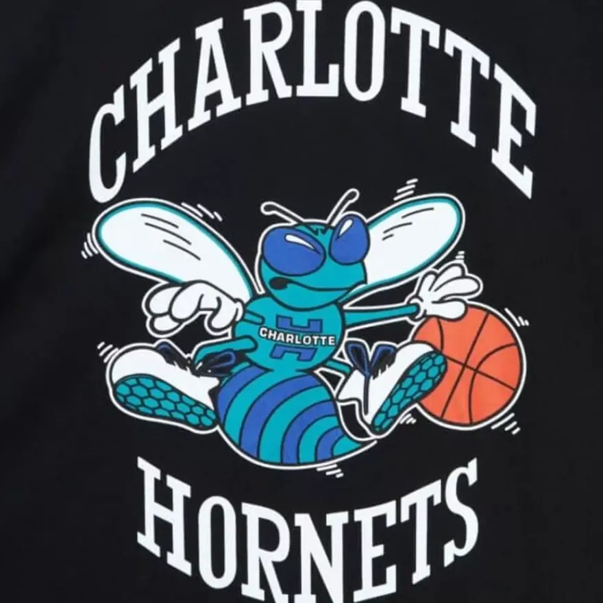 Mitchell & Ness T-Shirts & Tops-Team Basic 2 Tee Charlotte Hornets