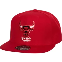 Mitchell & Ness Fitted-Team Ground 2.0 Fitted Hwc Chicago Bulls