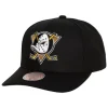 Mitchell & Ness Snapback-Team Ground 2.0 Pro Snapback Anaheim Ducks