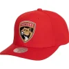Mitchell & Ness Snapback-Team Ground 2.0 Pro Snapback Florida Panthers