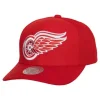 Mitchell & Ness Snapback-Team Ground 2.0 Pro Snapback Detroit Red Wings