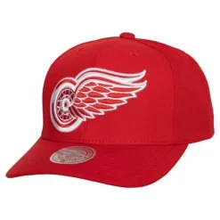 Mitchell & Ness Snapback-Team Ground 2.0 Pro Snapback Detroit Red Wings