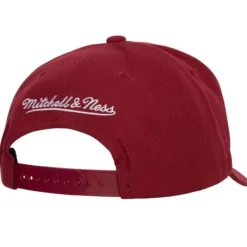 Mitchell & Ness Snapback-Team Ground 2.0 Pro Snapback Colorado Avalanche