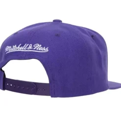 Mitchell & Ness Snapback-Team Ground 2.0 Snapback Los Angeles Lakers