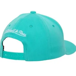 Mitchell & Ness Snapback-Team Ground 2.0 Stretch Snapback Hwc Vancouver Grizzlies