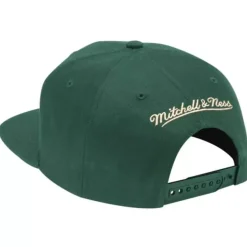Mitchell & Ness Snapback-Team Ground Snapback Milwaukee Bucks