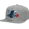 Mitchell & Ness Snapback-Team Heather 2.0 Snapback Hwc Charlotte Hornets