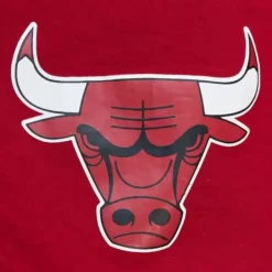 Mitchell & Ness Shorts-Team Heritage Woven Short Chicago Bulls