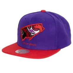 Mitchell & Ness Snapback-Team Insider Snapback Hwc Toronto Raptors
