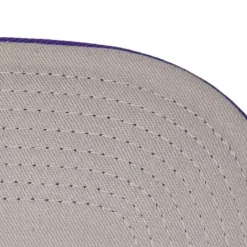 Mitchell & Ness Snapback-Team Insider Snapback Hwc Charlotte Hornets