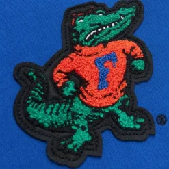 Mitchell & Ness Hoodies & Sweatshirts-Team Legacy French Terry Hoodie University Of Florida