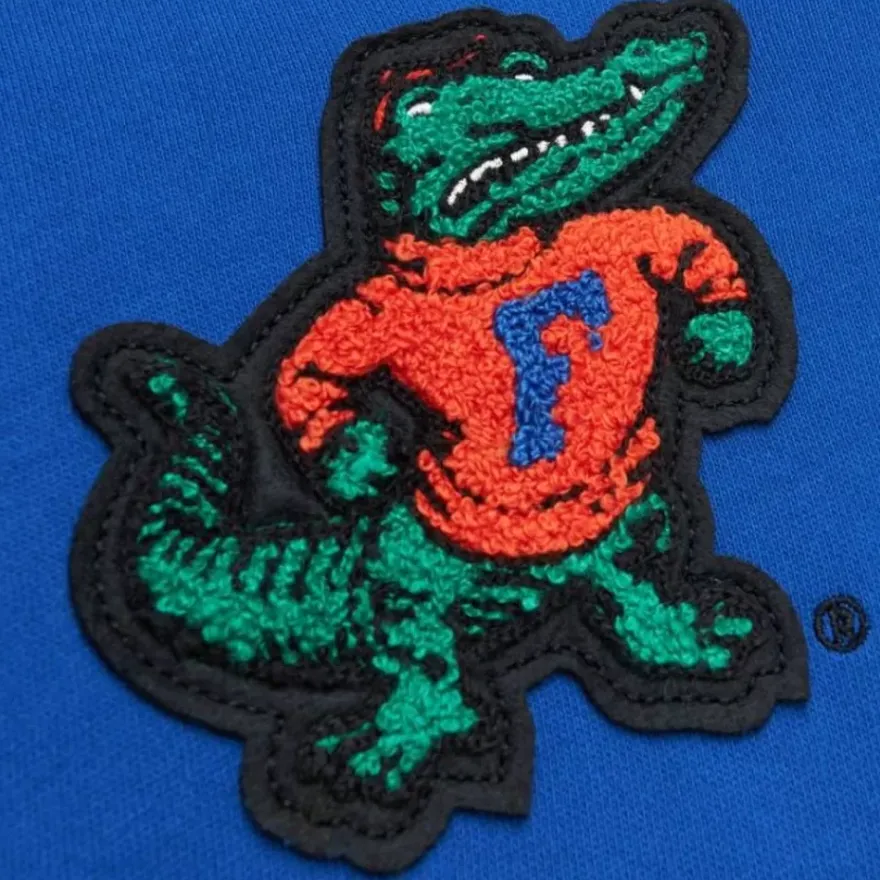 Mitchell & Ness Hoodies & Sweatshirts-Team Legacy French Terry Hoodie University Of Florida