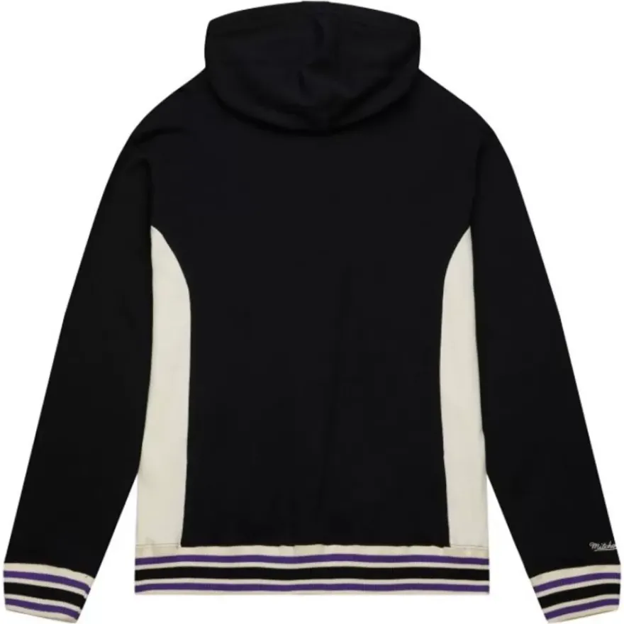 Mitchell & Ness Hoodies & Sweatshirts-Team Legacy French Terry Hoodie Toronto Raptors