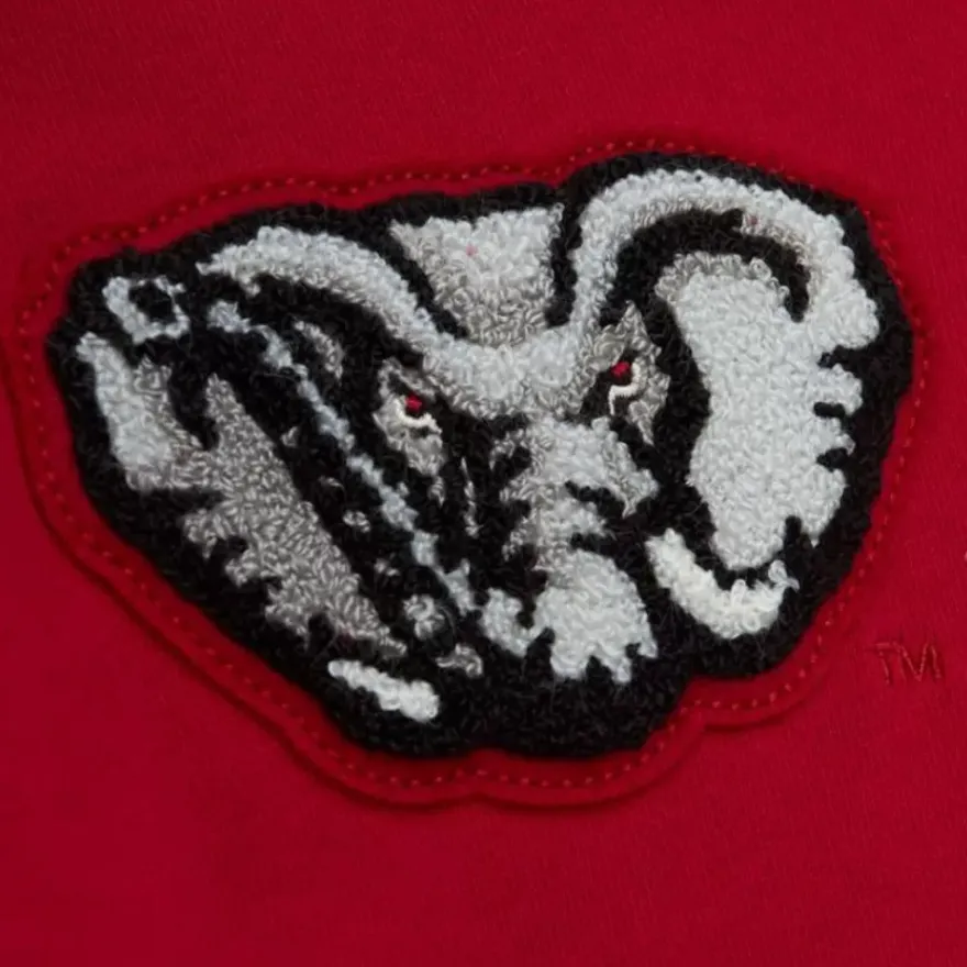 Mitchell & Ness Hoodies & Sweatshirts-Team Legacy French Terry Hoodie University Of Alabama