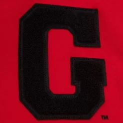 Mitchell & Ness Hoodies & Sweatshirts-Team Legacy French Terry Hoodie University Of Georgia