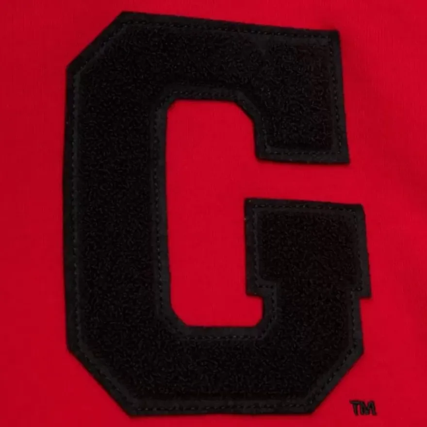 Mitchell & Ness Hoodies & Sweatshirts-Team Legacy French Terry Hoodie University Of Georgia