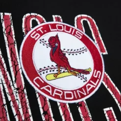 Mitchell & Ness Hoodies & Sweatshirts-Team Og Fleece 2.0 St. Louis Cardinals