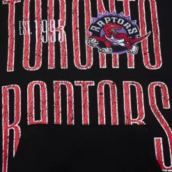 Mitchell & Ness Hoodies & Sweatshirts-Team Og Fleece 2.0 Toronto Raptors