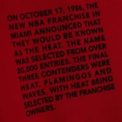 Mitchell & Ness Hoodies & Sweatshirts-Team Origins Fleece Hoody Miami Heat