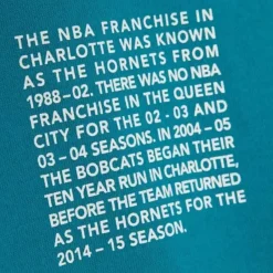Mitchell & Ness Hoodies & Sweatshirts-Team Origins Fleece Hoody Charlotte Hornets
