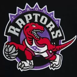 Mitchell & Ness Hoodies & Sweatshirts-Team Origins Fleece Hoody Toronto Raptors