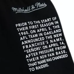 Mitchell & Ness Shorts-Team Origins Fleece Short Oakland Raiders