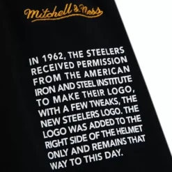 Mitchell & Ness Shorts-Team Origins Fleece Short Pittsburgh Steelers