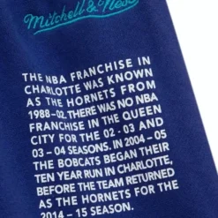 Mitchell & Ness Shorts-Team Origins Fleece Short Charlotte Hornets