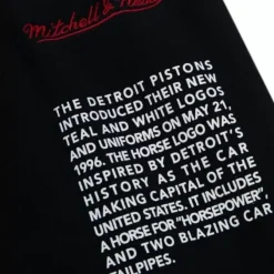 Mitchell & Ness Shorts-Team Origins Fleece Short Detroit Pistons