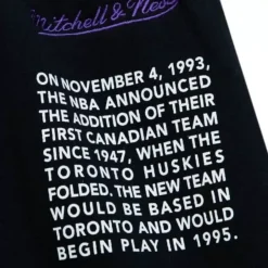 Mitchell & Ness Shorts-Team Origins Fleece Short Toronto Raptors