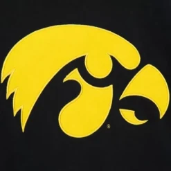 Mitchell & Ness Hoodies & Sweatshirts-Team Origins Hoodie University Of Iowa