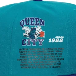 Mitchell & Ness Snapback-Team Origins Snapback Hwc Charlotte Hornets