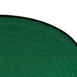 Mitchell & Ness Snapback-Team Origins Snapback Hwc Vancouver Grizzlies