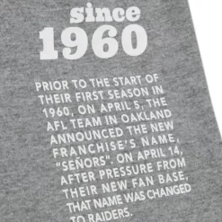 Mitchell & Ness T-Shirts & Tops-Team Origins S/S Top Oakland Raiders