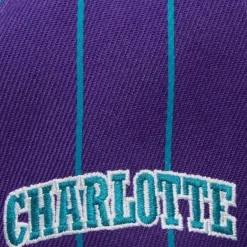 Mitchell & Ness Snapback-Team Pin Snapback Hwc Charlotte Hornets