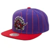 Mitchell & Ness Snapback-Team Pin Snapback Hwc Toronto Raptors