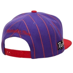 Mitchell & Ness Snapback-Team Pin Snapback Hwc Toronto Raptors