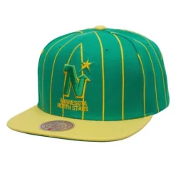 Mitchell & Ness Snapback-Team Pin Snapback Minnesota North Stars
