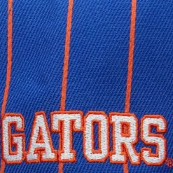 Mitchell & Ness Snapback-Team Pin Snapback University Of Florida