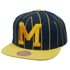 Mitchell & Ness Snapback-Team Pin Snapback University Of Michigan