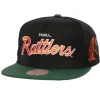 Mitchell & Ness Snapback-Team Script 2.0 Snapback Florida A&M University