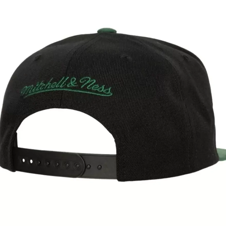 Mitchell & Ness Snapback-Team Script 2.0 Snapback Florida A&M University
