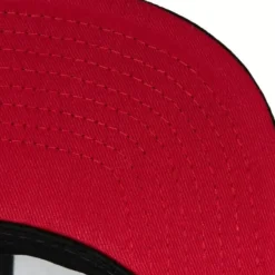 Mitchell & Ness Snapback-Team Script 2.0 Snapback Toronto Raptors