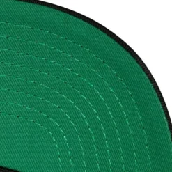 Mitchell & Ness Snapback-Team Seal Trucker Snapback Anaheim Ducks