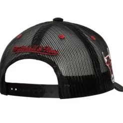 Mitchell & Ness Snapback-Team Seal Trucker Snapback Chicago Bulls