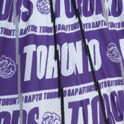 Mitchell & Ness Shorts-Teamwrap Swingman Toronto Raptors 1998-99 Shorts