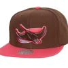 Mitchell & Ness Snapback-The Damn Snapback Coop Tampa Bay Rays