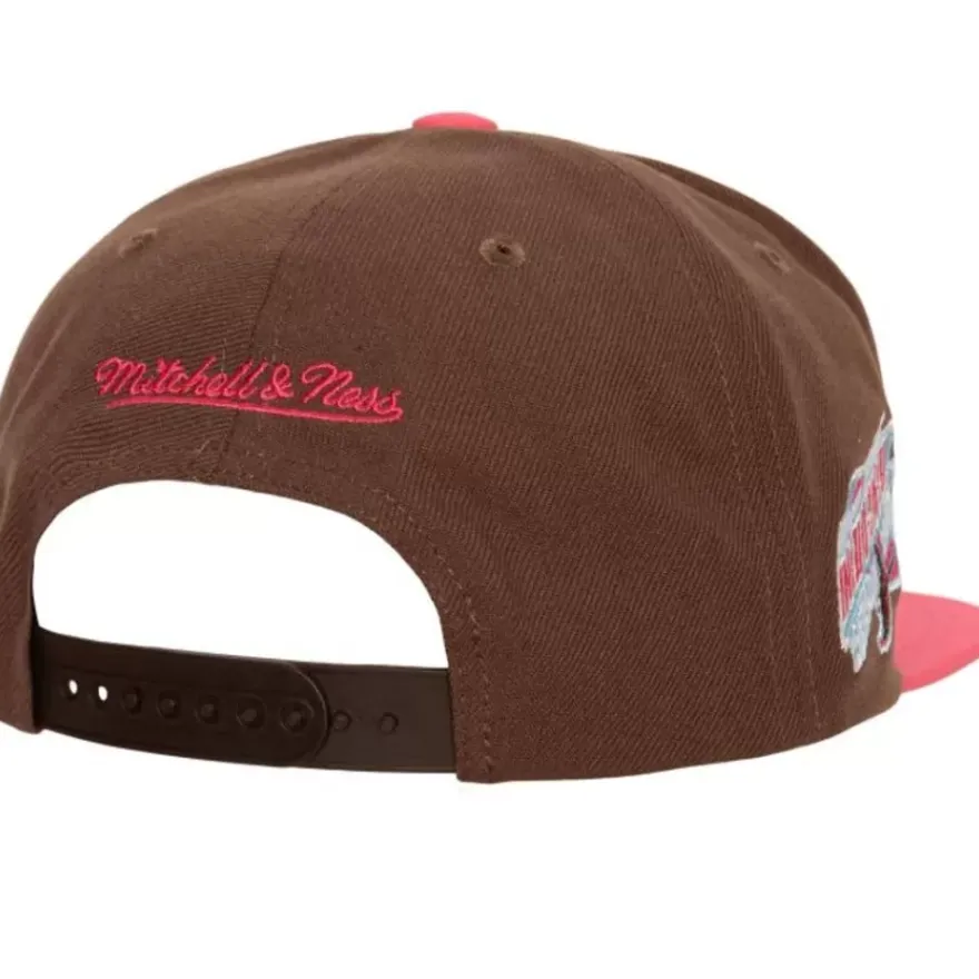 Mitchell & Ness Snapback-The Damn Snapback Coop Tampa Bay Rays