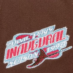 Mitchell & Ness Snapback-The Damn Snapback Coop Tampa Bay Rays